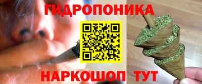 прущие грибы Балаково