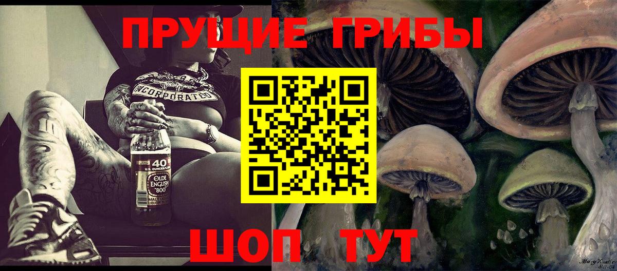 Галлюциногенные грибы Psilocybine cubensis Гусиноозёрск