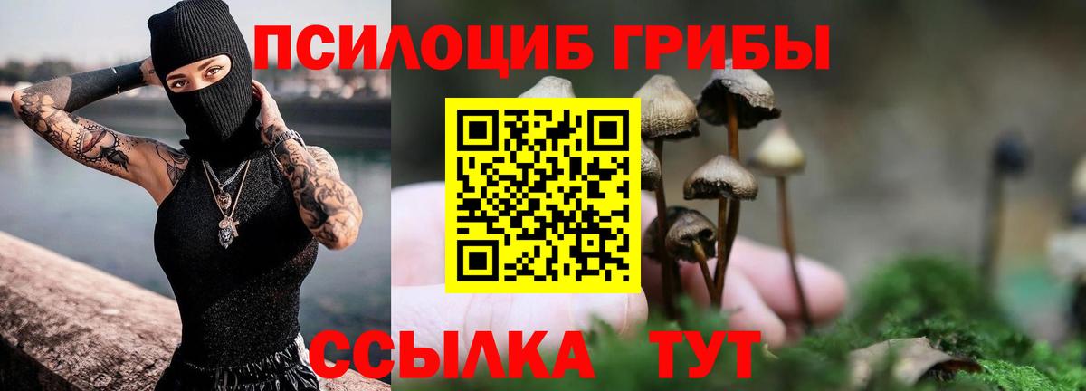 Гусиноозёрск  Галлюциногенные грибы Psilocybine cubensis  Псилоцибиновые грибы мицелий  Вход с VPN 